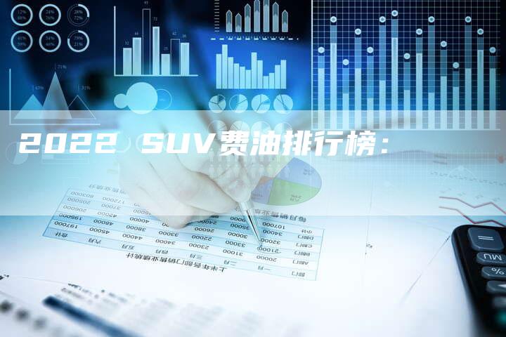 2022 SUV费油排行榜：