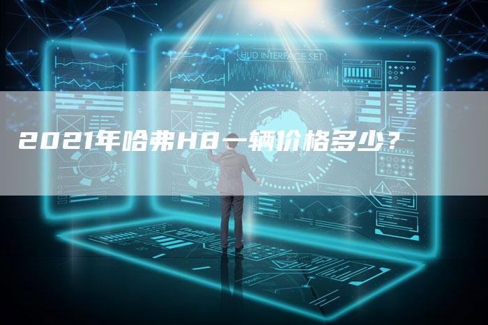 2021年哈弗H8一辆价格多少？